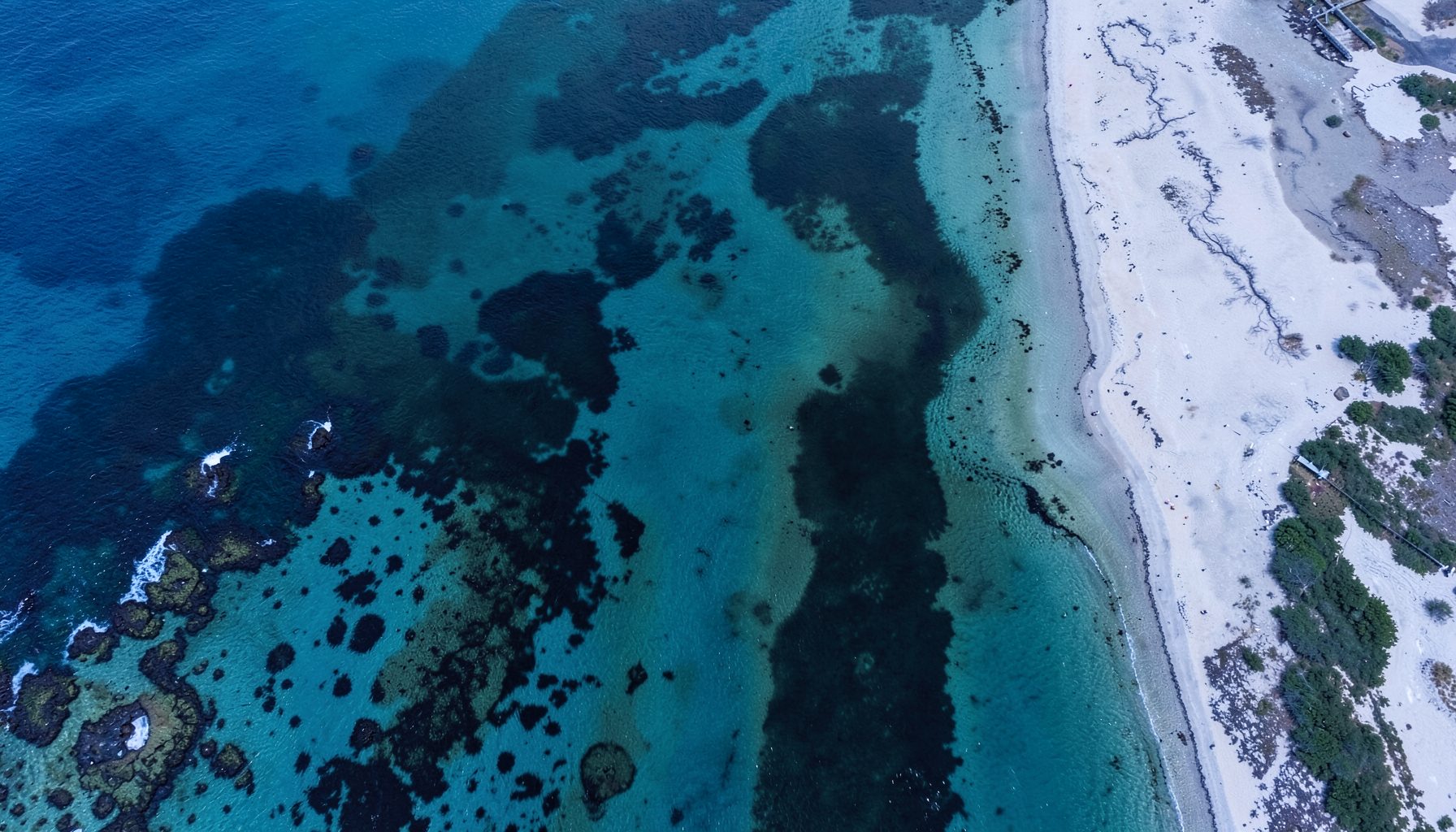 Aerial view of a coastal landscape where dark environmental staining contrasts with blue water and pale sand